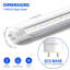 Ampoules DEL Barrina T8 de 4 pieds de type B, G13, 24 W, 3200 lm, lumière vive 6000 K, double extrémité alimentée, dérivation de ballast, remplacement fluorescent à DEL de 4 pieds, remplacement de DEL T8 T10 T12, couvercle transparent, 8 paquets