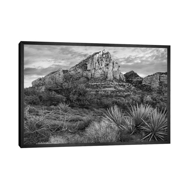 Narrow Leaf Agaves And Thunder Mountain, Coconino National Forest, Near Sedona Arizona by Tim Fitzharris - Gallery-Wrapped Canvas Giclée on Canvas