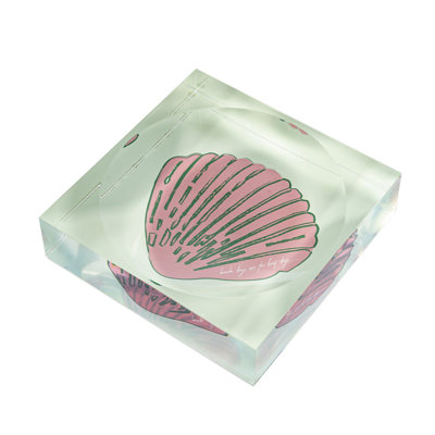 Sally Seashells Stripe