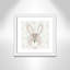 Woodland Friends 3, art encadré-47834959-47834954
