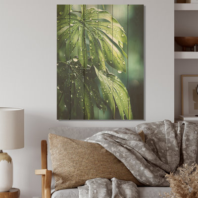 «Mossy Morning Palms - Palmiers et palmiers», art sur bois de pin naturel