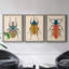 Beetle Bug I - ensemble de 3 peintures sur toile encadrées-1777886050-1777886077