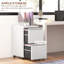 Milayna 37cm Wide 2 -Drawer Mobile Steel File Cabinet-1541583574