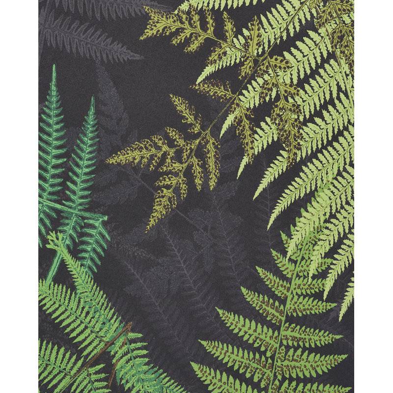 Papier peint Schumacher x Clements Ribeiro Fernarium, Noir / motif de feuilles