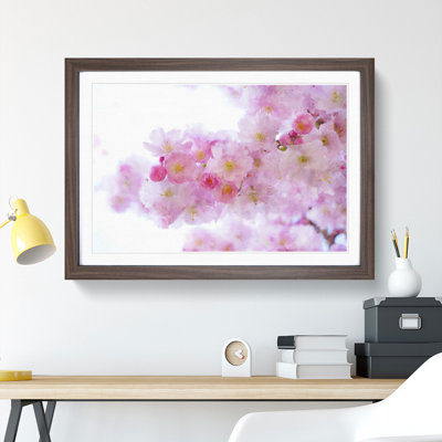 Pink Cherry Blossom Flowers Vol.11 - Framed Print