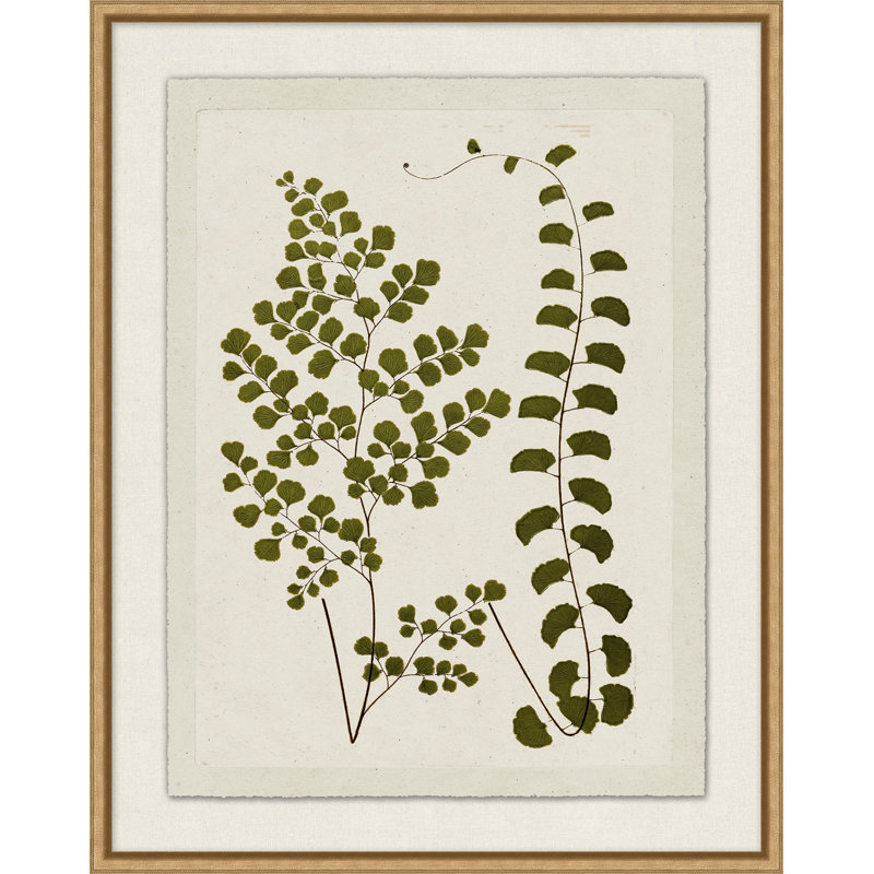 Plant Presses 3 Print by Lillian August
