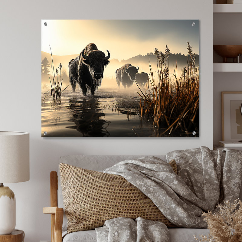«Gray Buffalo Misty Morning Grazing I», art mural acrylique Buffalo, H 24 po x l 32 po