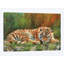 « amur tiger repose », impression sur toile-33109070-72413400-72413394
