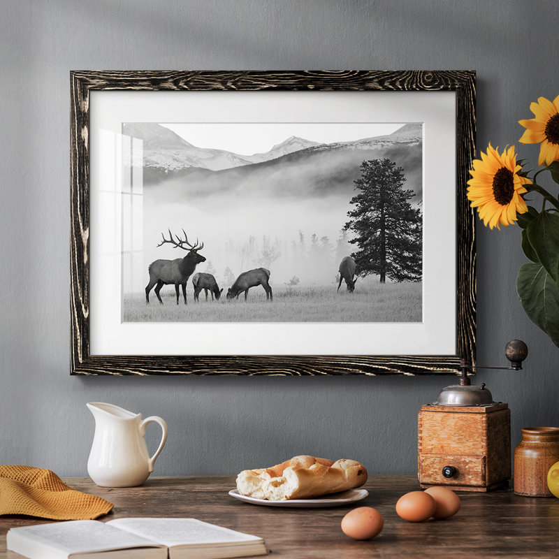 Mountain Elk - impression d'un seul cadre photo, Noir
