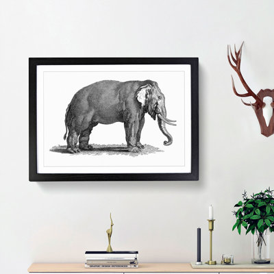 Elephant in Black & White by George Shaw - Picture Frame Drawing Print