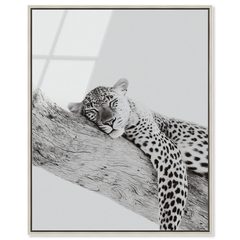 «Sleeping Leopard BW», impression murale encadrée sur bois par Notoriart, cadre argenté, 16 x 20, 21"H x 17"W, Silver Frame