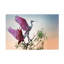 «Two Roseat Spoonbills On Canvas» par Phillip Chang, impression-1156505171