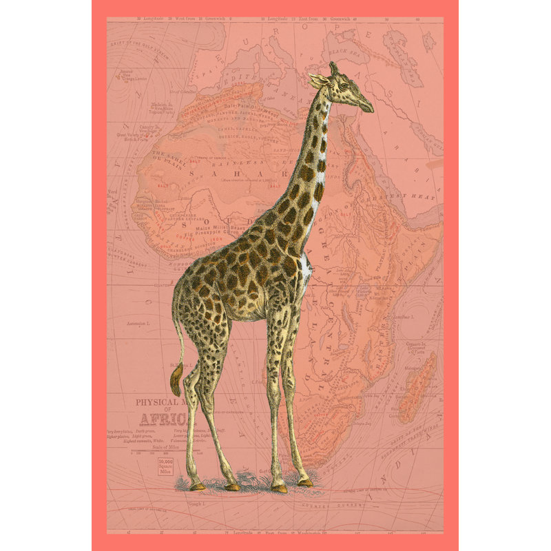 African Animals On Coral I by Studio W - Painting on Canvas, 122cm H x 81cm W, Wrapped Canvas