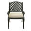 Annecorinne Premium All-Weather Wicker Outdoor Dining Armchair with Cushion-1328022-115989795