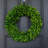 Natural Preserved Green Boxwood Everyday Wreath 22"