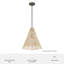 Grand luminaire suspendu 1 lumière Hunter Comet