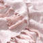 Lareau Cotton Throw-574463449