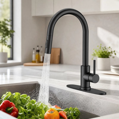 Robinet de cuisine Mosson