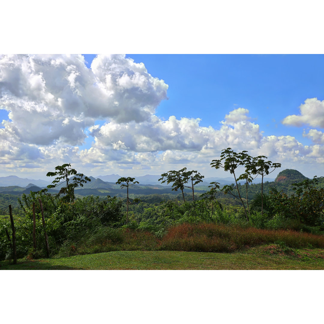 Panama Regenwald und Berge von GeorgePeters - Leinwandbild