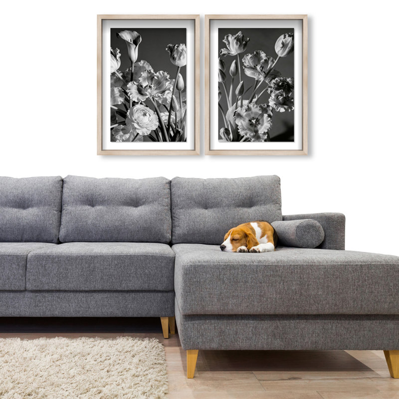 Botanique Noir Set Set by Oliver Gal, 25" H x 17" W, Natural Oak Shadowbox