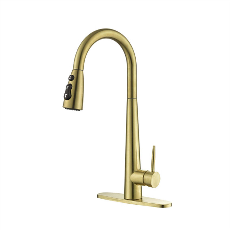 Red Cloud Pull Down Kitchen Faucet, Gold