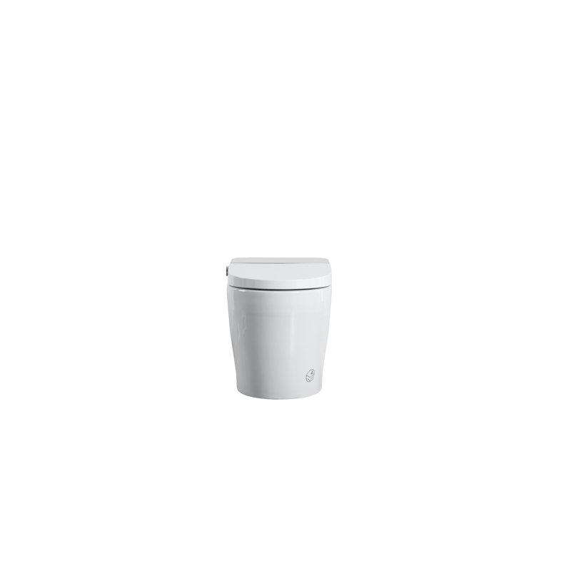 Toilette intelligente avec bidet intégré, chasse d'eau automatique et siège chauffant, fonction de séchage à l'eau chaude réglable, options de lavage multiples, y compris lavage par bulles de massage, affichage numérique coloré nuit douce, pied