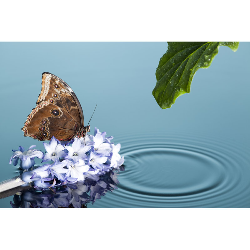 La beauté dans la nature par Proxyminder, H 20 po x l 30 po