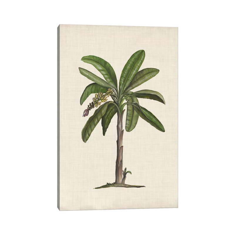 British Palms II by Naomi McCavitt - Wrapped Canvas Gallery-Wrapped Canvas Giclée, 101.6 cm H x 66.04 cm W x 3.175 cm D