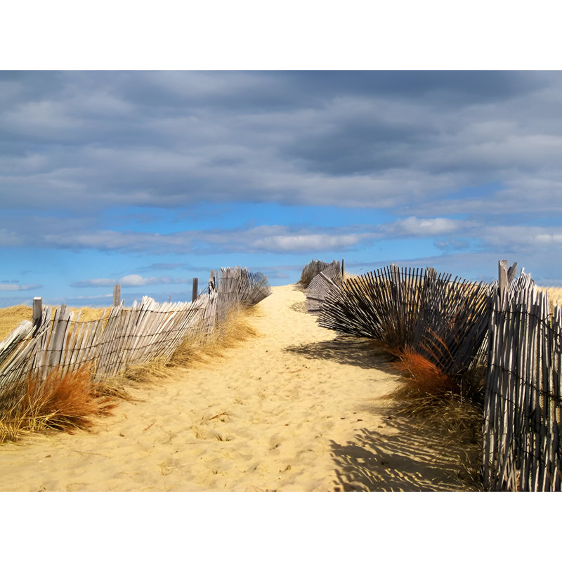 « path to the beach », reproduction de photo sur toile tendue, H 18 po x l 24 po x P 1,5 po
