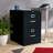 Classeur vertical 2 tiroirs Aleceia-21308341