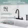 CASAINC Two Handle Kitchen Faucet with Pull Out Side Sprayer