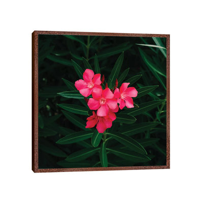 Florida Blooms II 1 Piece Wall Art on Canvas