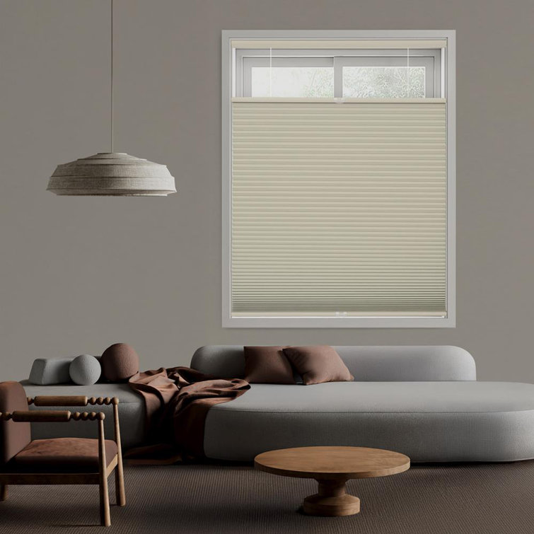 Coursey EcoHome 1.5 inch Cordless Blackout Top Down Bottom Up Cellular Shade