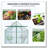 8x8 FT Double Door Polycarbonate Greenhouse Raised Base and Anchor Aluminum Heavy Duty Walk-in Greenhouses for Outdoor Backyard in All Season,Green-121644131-121644130