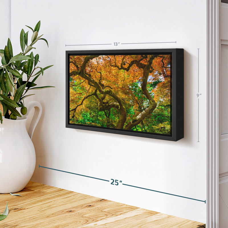 Mossy Maple Tree Canvas Print, 9" H x 13" W