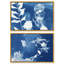 Faded Poetry Set Set by Oliver Gal-1173086279-1173086286