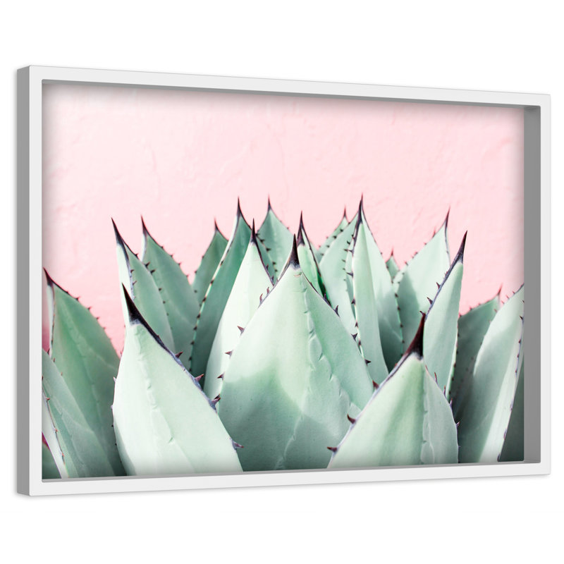 Abdirazaq Sweet Succulents - impression sur papier, H 12 po x l 18 po x p 1,5 po, Blanc encadré avec bordure Deckled