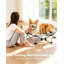 No-Assembly Elevated Dog Bed L Dia75cm