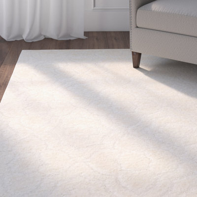 Stonybrook Memphis Shag Performance Rug