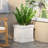 MGO PLANTER