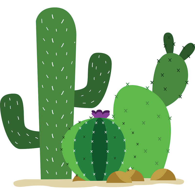 Group of Cacti 3 - carton debout