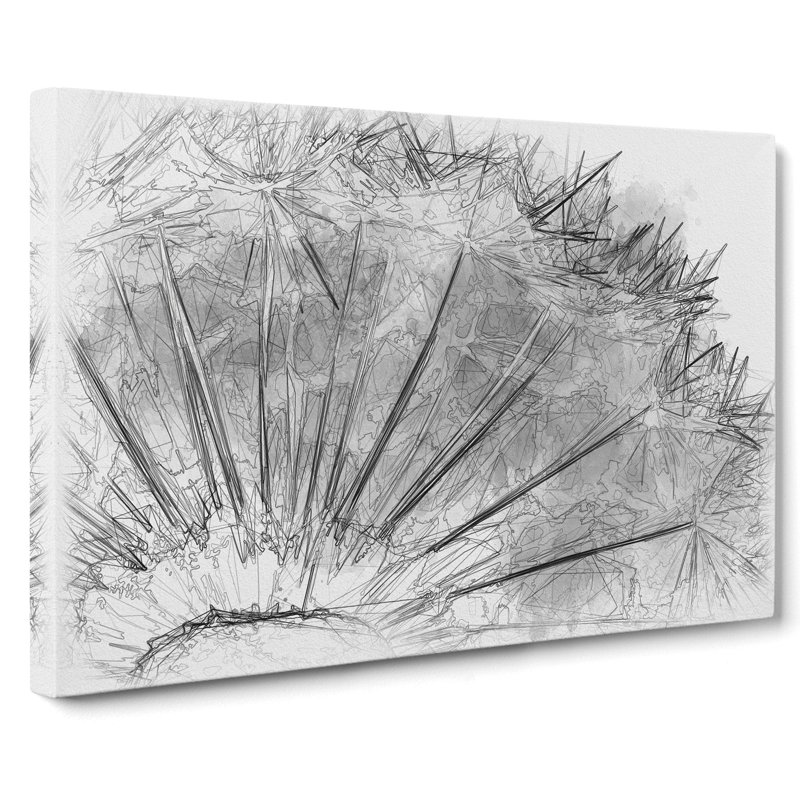 Dandelion Seeds Vol.8 Sketch - Wrapped Canvas, 60cm H x 91cm W x 3cm D