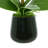 Polysilk Orchid Arrangement in Vase