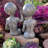 Ensemble de statue 2 pièces Old Alien Outer Space Alien Dude and Babe