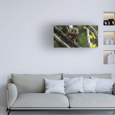 Bolog Kurien Yohannan Ruru 10 Canvas Art