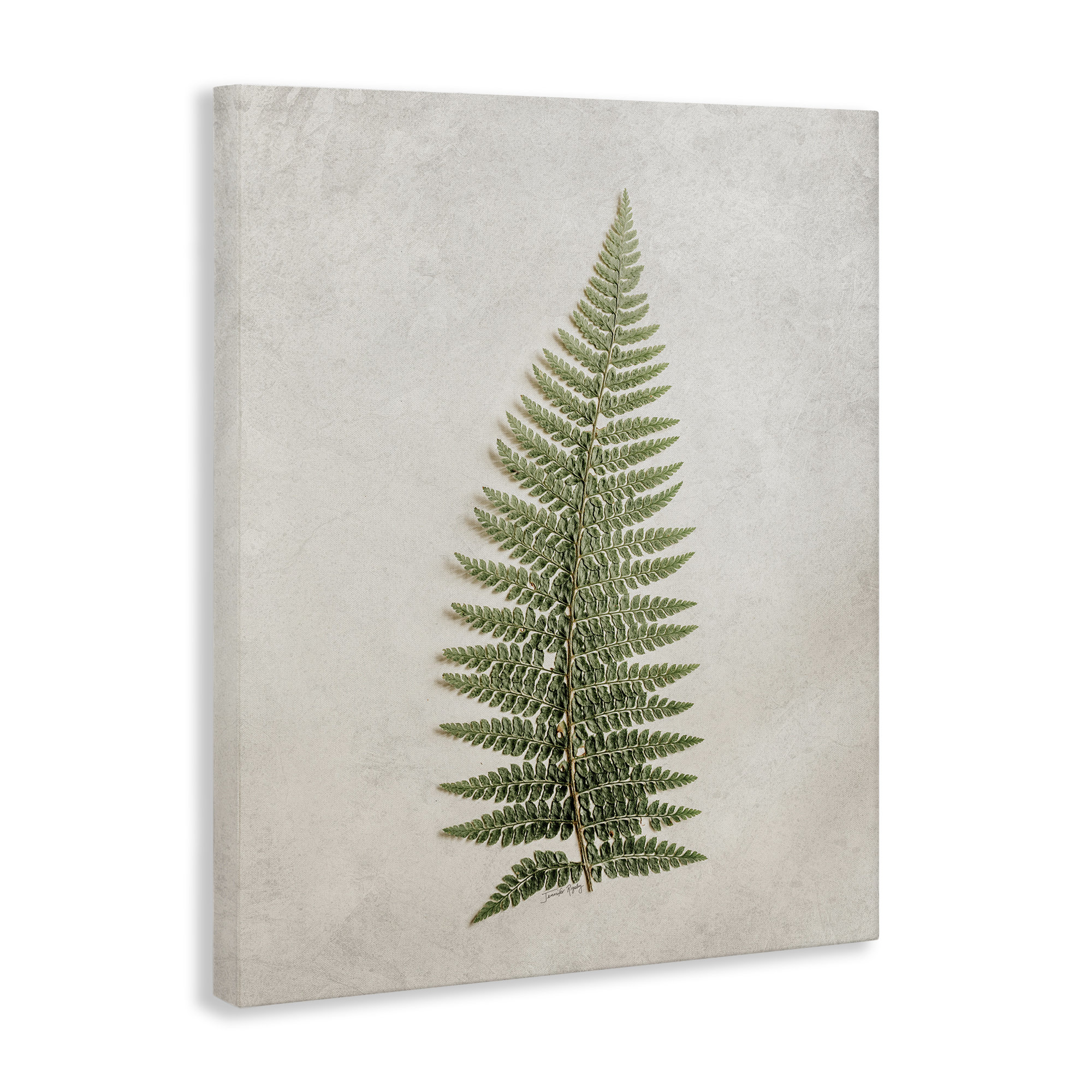 August Grove® Detailed Fern Frond Canvas Wall Art by Jennifer Rigsby ...