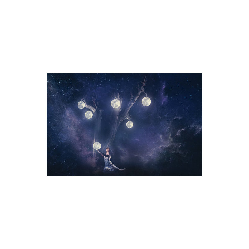 Wrapped Canvas Print, 50.8 cm H x 76.2 cm W