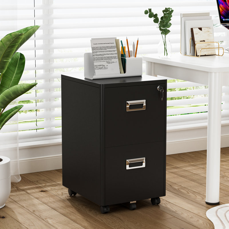 Armoire de rangement mobile à 2 tiroirs Ecobet, Noir