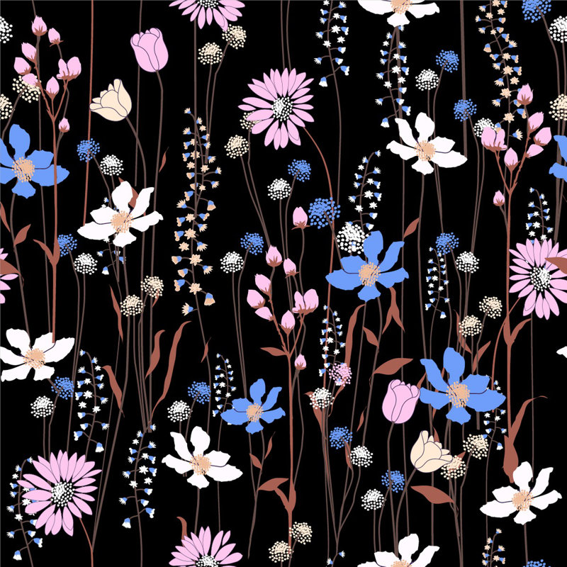Fleurs sauvages sur fond noir