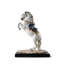 Spanish Pure Breed - Haute Ecole